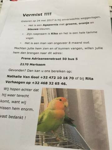 Afbeelding