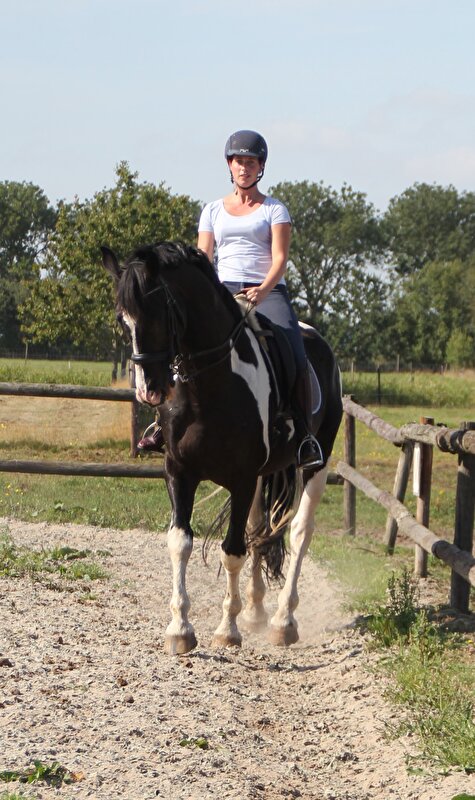 Afbeelding