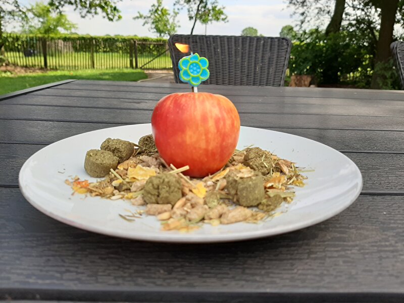Afbeelding