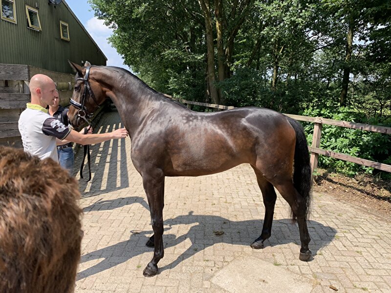 Afbeelding