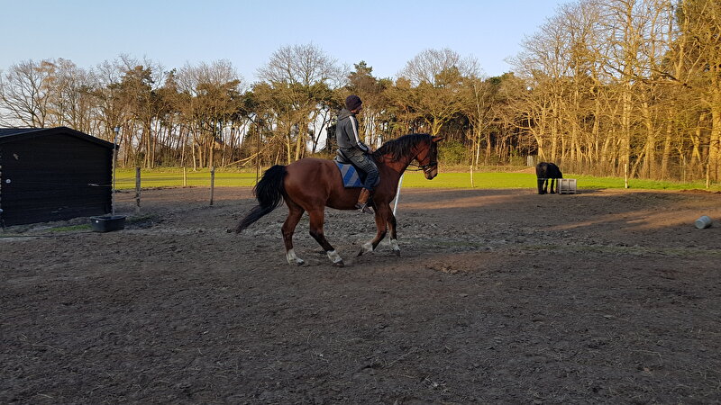 Afbeelding