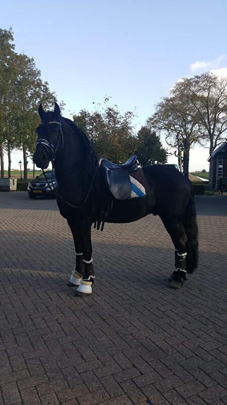 Afbeelding