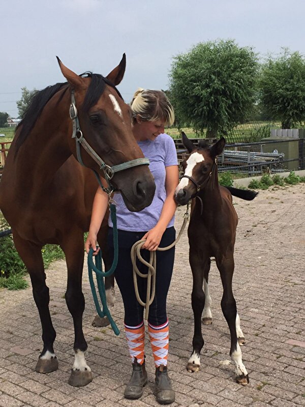Afbeelding