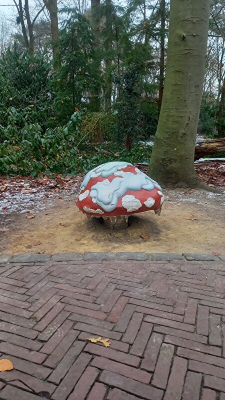 Afbeelding