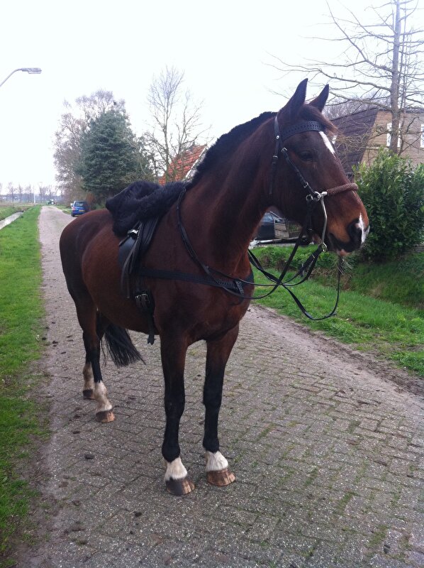 Afbeelding