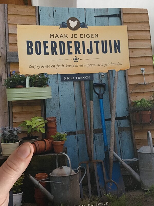 Afbeelding