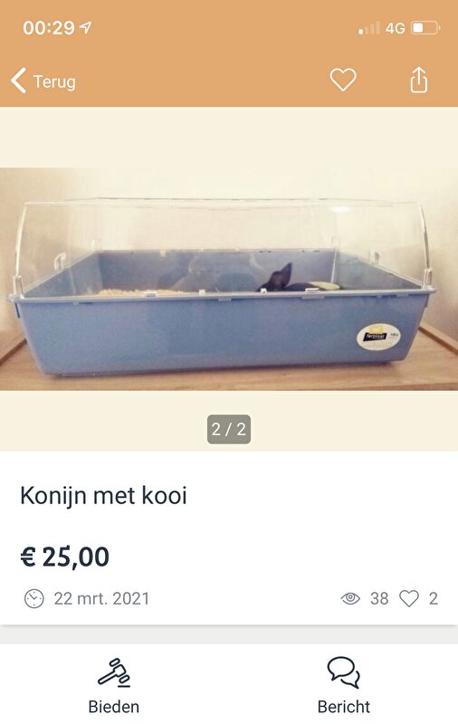 Afbeelding