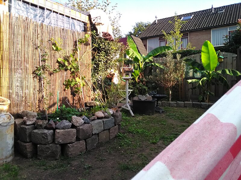 Afbeelding