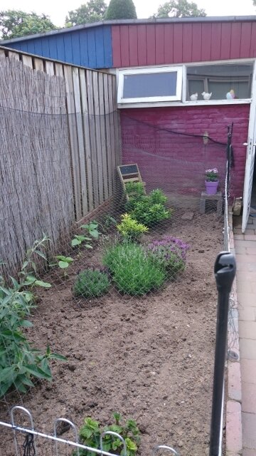 Planten Die Kippen Niet Lusten Boktnl