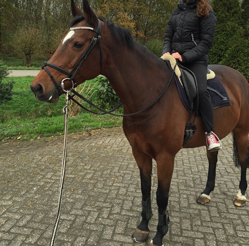 Afbeelding