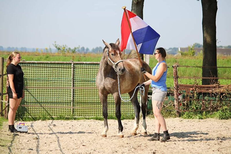 Afbeelding