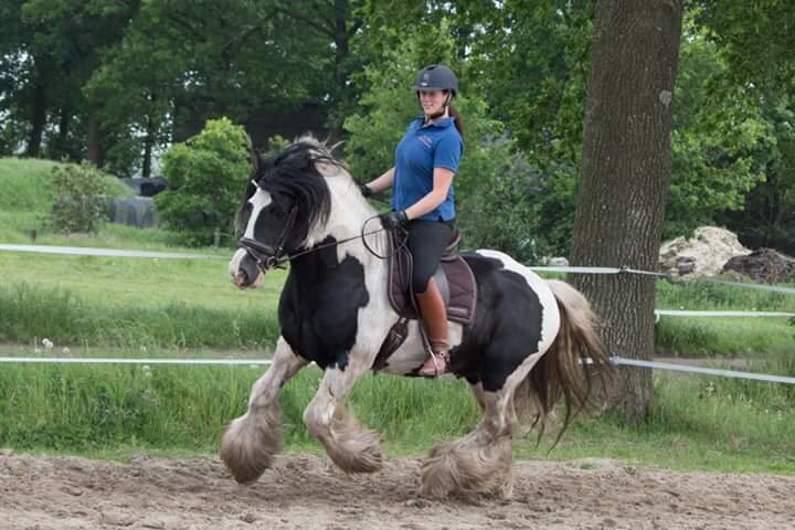 Afbeelding
