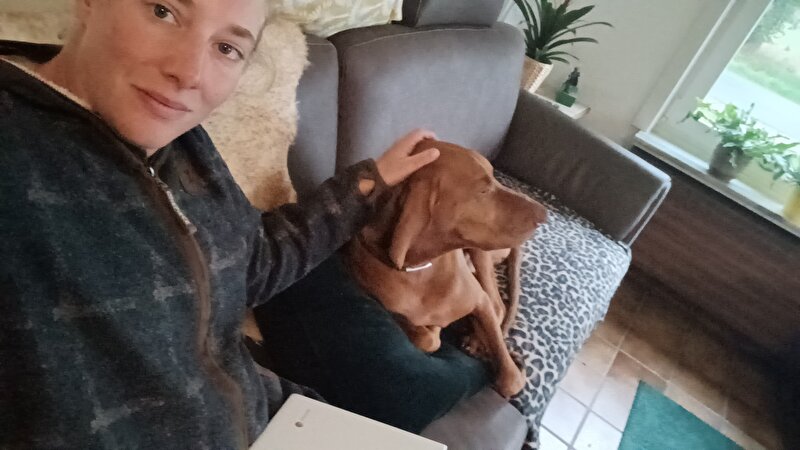 Afbeelding