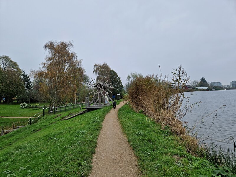 Afbeelding
