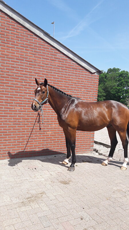 Afbeelding