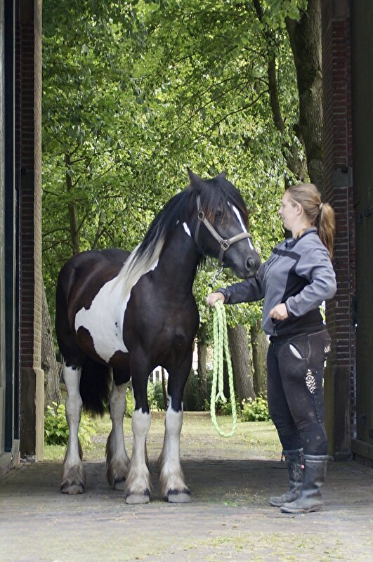 Afbeelding