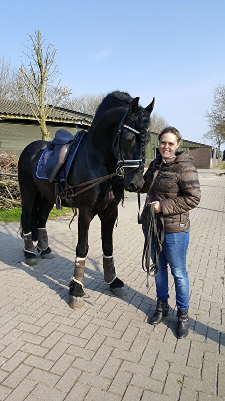 Afbeelding