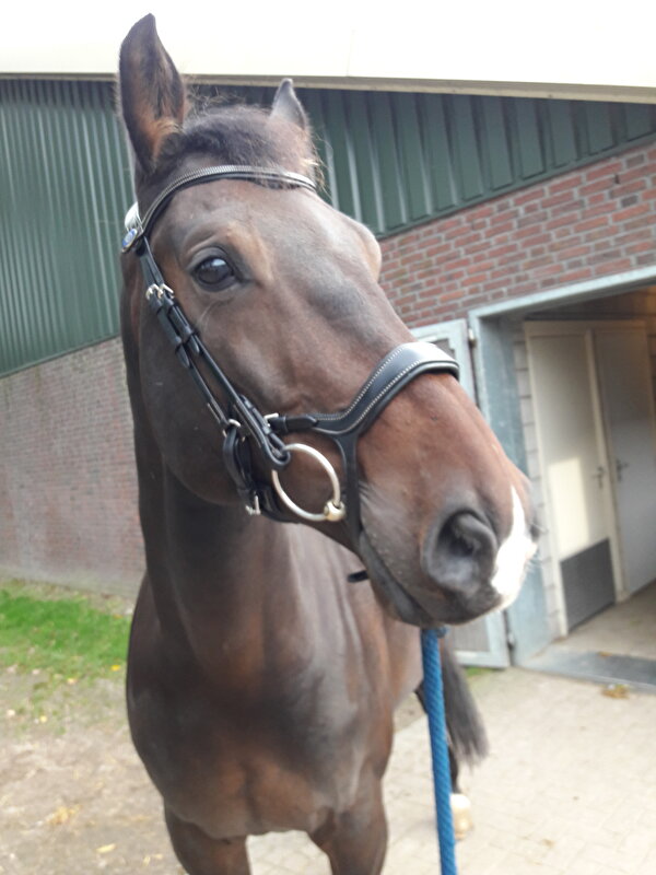 Afbeelding