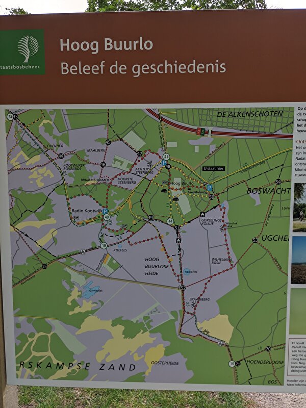 Afbeelding