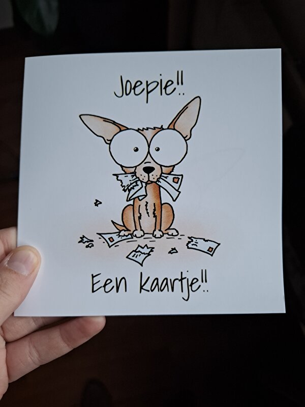Afbeelding