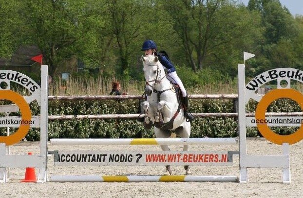 Afbeelding
