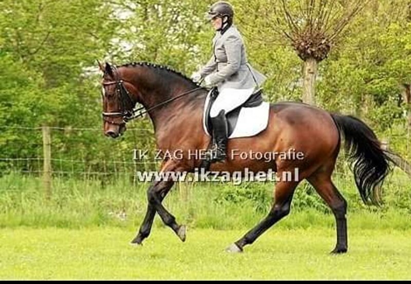 Afbeelding