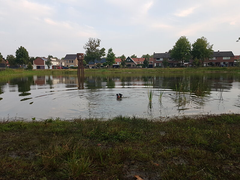 Afbeelding