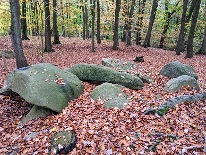 Afbeelding