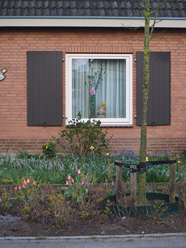Afbeelding