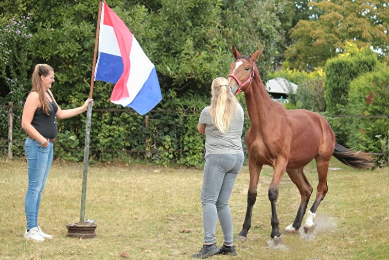 Afbeelding