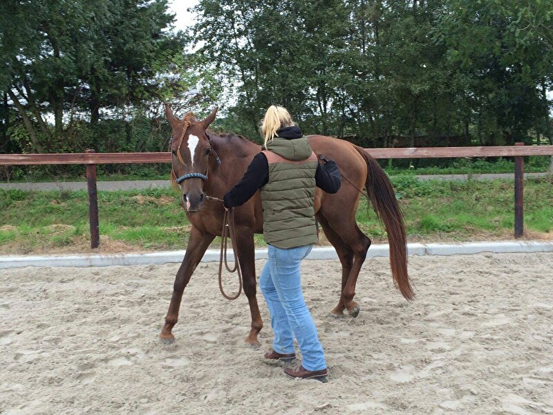 Afbeelding