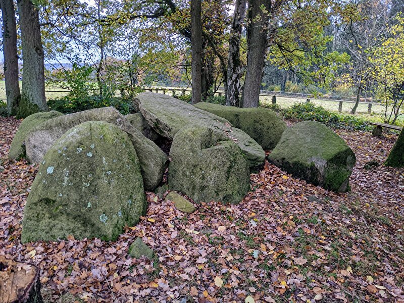 Afbeelding