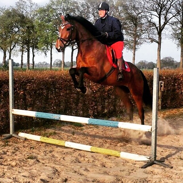 Afbeelding