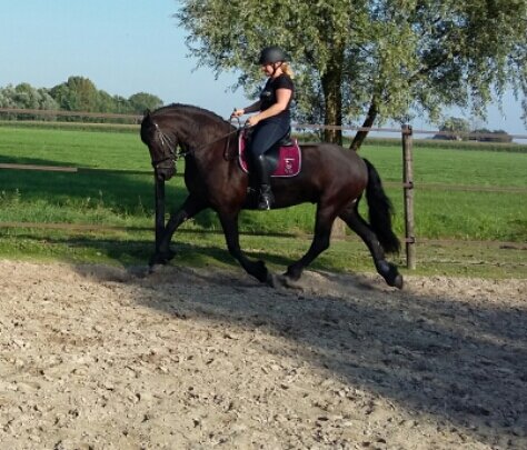 Afbeelding