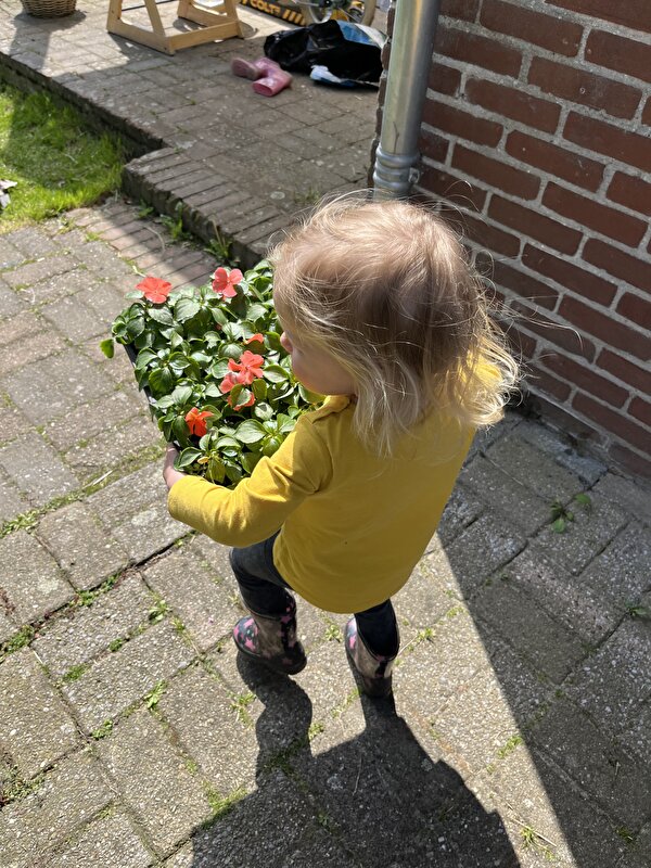 Afbeelding