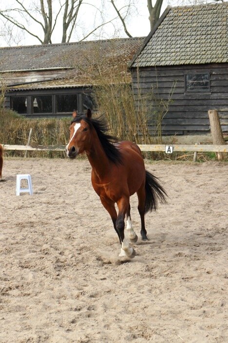 Afbeelding