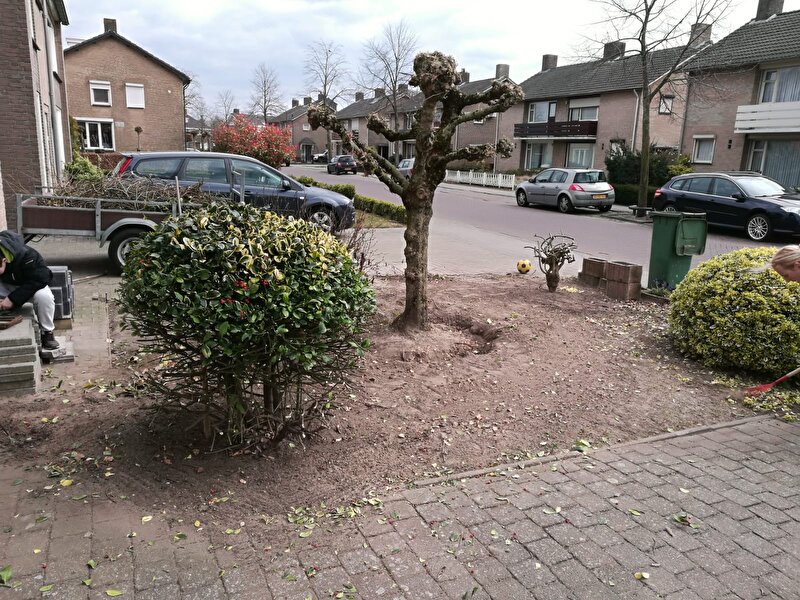 Afbeelding
