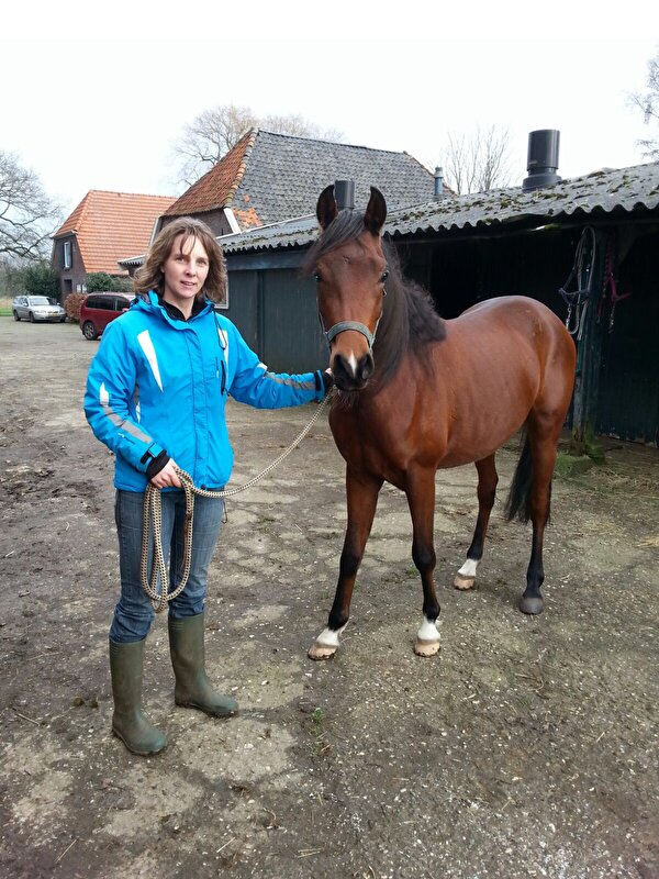 Afbeelding