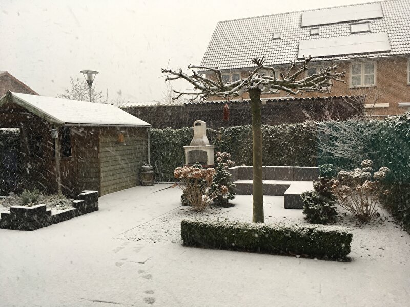 Afbeelding
