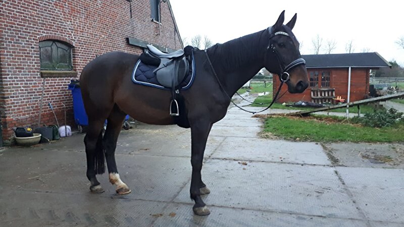 Afbeelding
