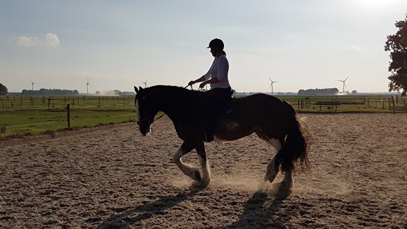 Afbeelding