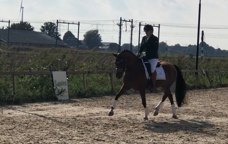 Afbeelding