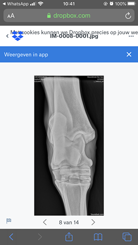 Afbeelding