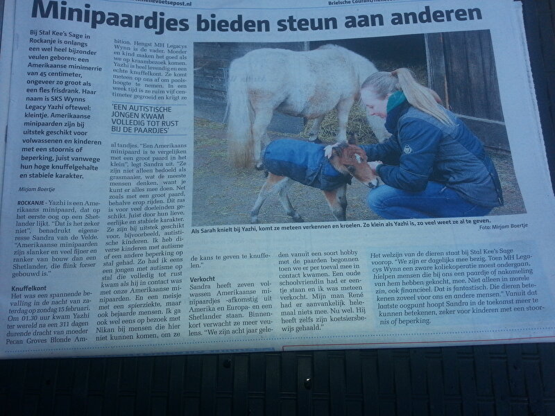 Afbeelding