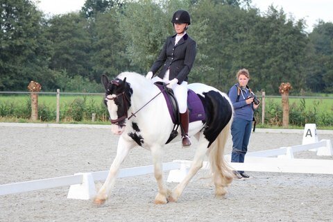 Afbeelding