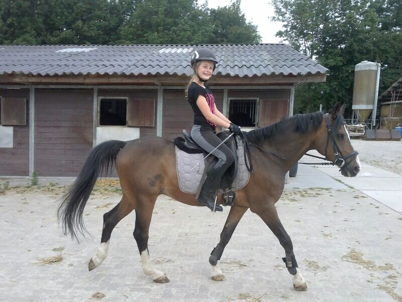Afbeelding