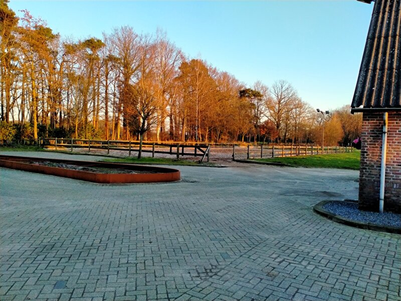 Afbeelding