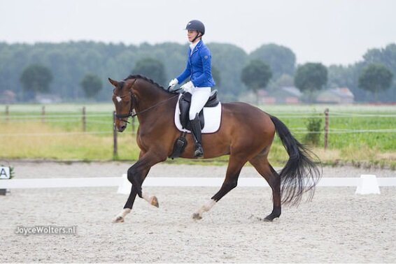 Afbeelding