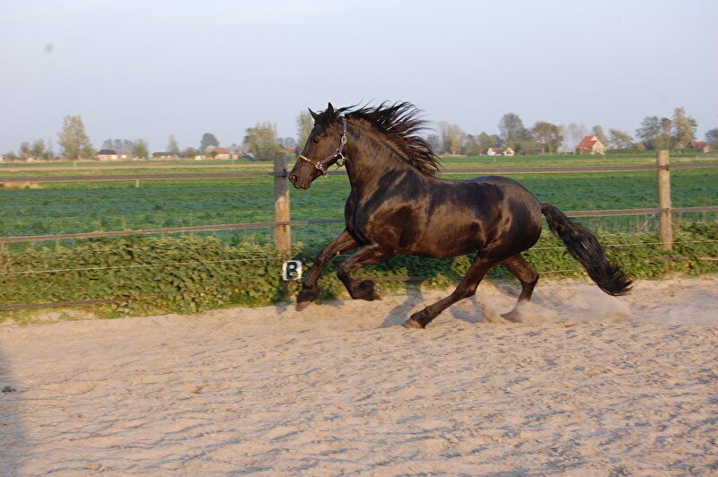 Afbeelding