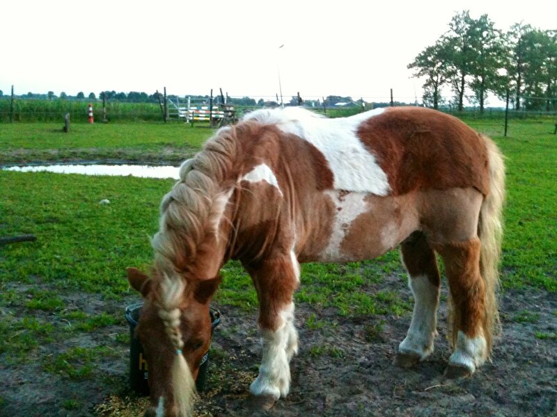 Afbeelding
